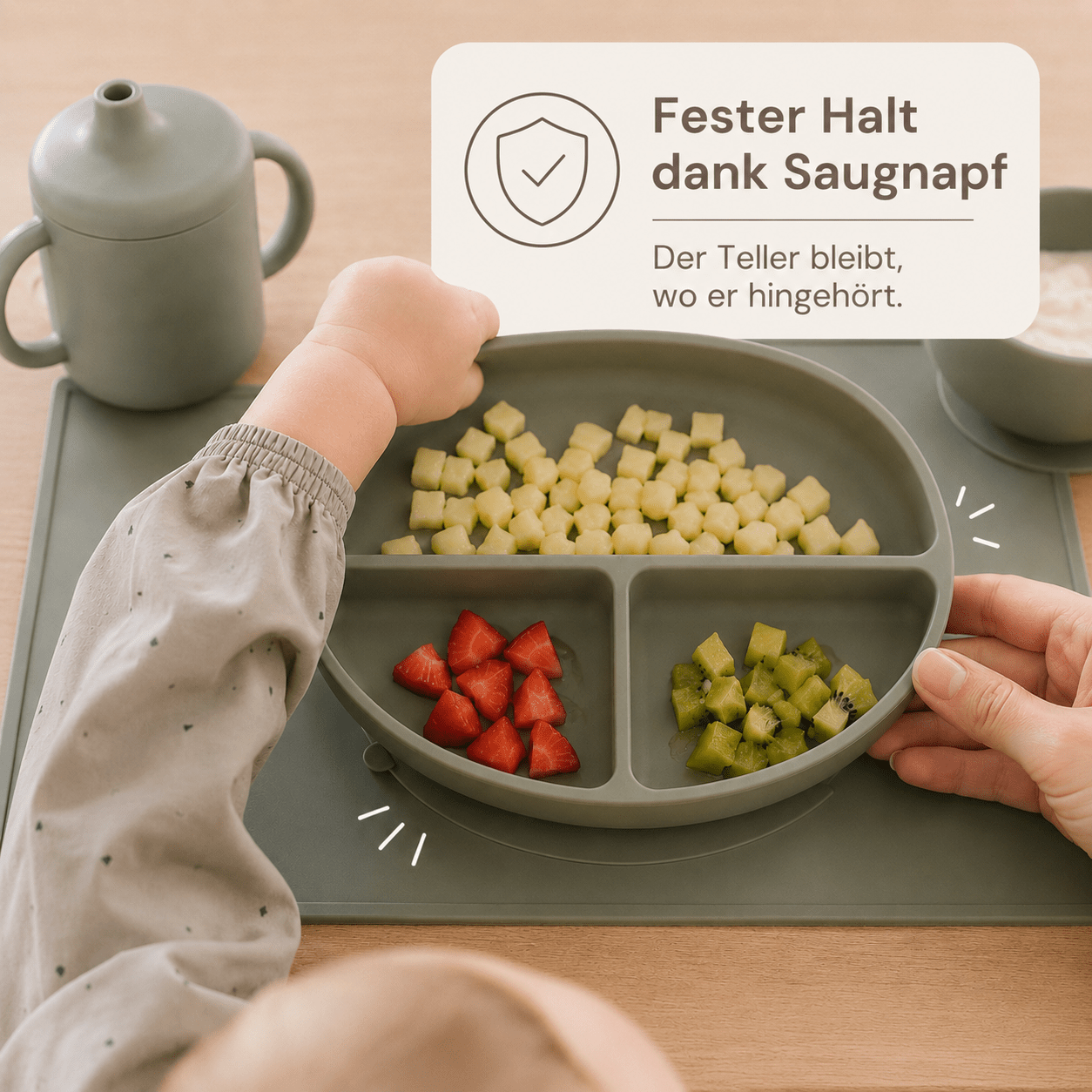 Anti-Essenschaos Starter-Paket - Lanessia